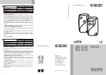 Bandini Industrie GiBiDi DTR4342 Manual preview