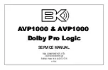 B&K COMPONENTS, LTD. AVP1000 Dolby Pro Logic Service Manual предпросмотр