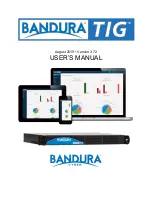 Bandura Cyber TIG BT-500 User Manual preview