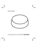 Bang & Olufsen BeoSound Core User Manual preview