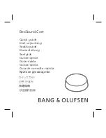 Предварительный просмотр 3 страницы Bang & Olufsen BeoSound Core User Manual