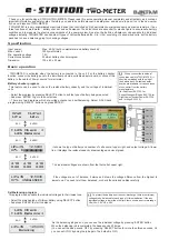 Bantam e-STATION TWO-METER Quick Manual предпросмотр