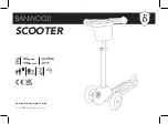 BANWOOD SCOOTER Manual preview