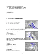 Preview for 29 page of Baotian BT49QT-7 Service Manual