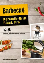 Barbecue Black Pro Assembly And User'S Manual preview