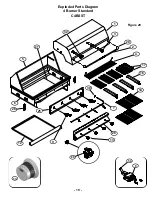 Preview for 21 page of Barbeques Galore Turbo STS Instruction Manual