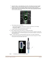 Preview for 58 page of Bard Site-Rite 8 Instructions For Use Manual