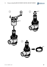 Предварительный просмотр 29 страницы Bardiani Valvole BBZM Instruction, Use And Maintenance Manual