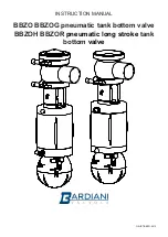 Bardiani Valvole BBZO BBZOG Instruction Manual preview