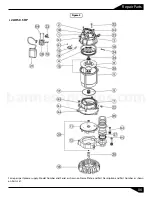 Preview for 7 page of Barmesa Pumps 2AHS051 Installation, Operation & Maintenance Manual