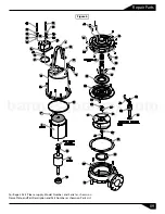 Предварительный просмотр 10 страницы Barmesa Pumps 4BSE-HLDS Series Installation, Operation & Maintenance Manual