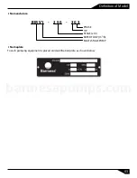 Предварительный просмотр 4 страницы Barmesa Pumps 70120001 Installation, Operation & Maintenance Manual