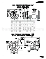 Предварительный просмотр 17 страницы Barmesa Pumps IA Series Installation, Operation & Maintenance Manual