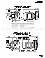 Предварительный просмотр 19 страницы Barmesa Pumps IA Series Installation, Operation & Maintenance Manual