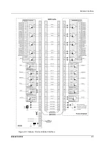 Предварительный просмотр 19 страницы Basler Vision Technologies A202k User Manual