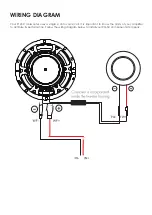 Предварительный просмотр 5 страницы Bass Habit Play P165C User Manual