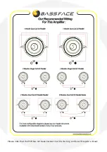 Preview for 7 page of BASSFACE DB1.4 Instruction Manual