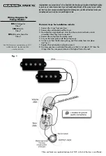 Preview for 1 page of BassLines SPB-1 Wiring Diagram