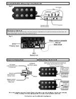 Предварительный просмотр 2 страницы BassLines Tone Circuits Wiring Diagram