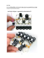 Предварительный просмотр 11 страницы Bastl Instruments DUDE v1.2 Assembly Manual