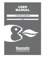 Предварительный просмотр 1 страницы Baumatic B6FS User Manual