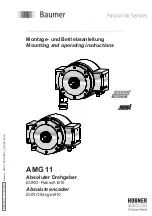 Baumer AMG 11 Mounting And Operating Instructions предпросмотр