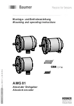 Baumer AMG 81 Mounting And Operating Instructions предпросмотр