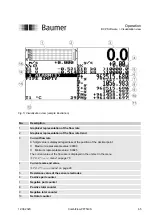 Предварительный просмотр 65 страницы Baumer CombiFlow PF75H Operation Manual