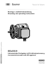 Предварительный просмотр 1 страницы Baumer Hubner EExOG 9 Mounting And Operating Instructions