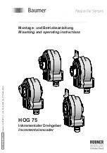 BaumerHübner HOG 75 Mounting And Operating Instructions preview