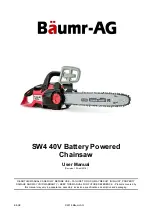 Baumr-AG SW4 User Manual preview