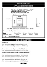 Preview for 6 page of Baxi Fires Division Anthem 746 Owner'S Manual