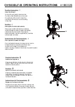 Предварительный просмотр 2 страницы bbf CH1303BLF-03 Assembly And Operating Instructions Manual