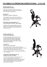 Предварительный просмотр 3 страницы bbf CH1303BLF-03 Assembly And Operating Instructions Manual