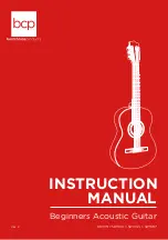 Предварительный просмотр 1 страницы BCP SKY119 Instruction Manual