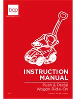 Предварительный просмотр 1 страницы BCP SKY1787 Instruction Manual