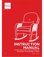 Предварительный просмотр 1 страницы BCP SKY1881 Instruction Manual