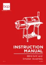 BCP SKY2553 Instruction Manual preview