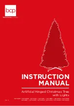 BCP SKY2818 Instruction Manual preview