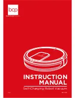 Предварительный просмотр 1 страницы BCP SKY4719 Instruction Manual