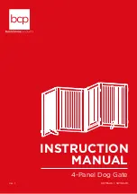 BCP SKY5546 Instruction Manual preview