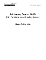 Beacon iB003N User Manual предпросмотр