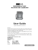 BEAMEX MC5-IS User Manual предпросмотр