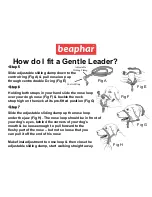 Предварительный просмотр 3 страницы Beaphar Gentle Leader Step-By-Step Manual