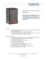 Bebob A290RM CINE User Manual предпросмотр