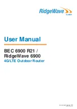 BEC RidgeWave 6900 User Manual предпросмотр