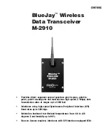 Preview for 1 page of BECKWITH ELECTRIC BlueJay M-2910 Quick Start Manual