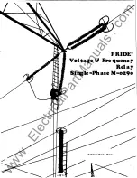 BECKWITH ELECTRIC M-0290 Instruction Book preview