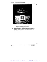 Предварительный просмотр 89 страницы Becton, Dickinson and Company Bactec 9050 System User Manual