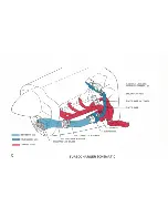 Предварительный просмотр 10 страницы Beechcraft Bonanza V35B-TC Owner'S Manual